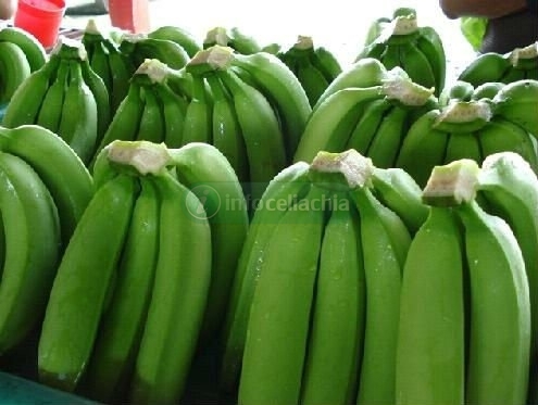 Dalle banane verdi una nuova pasta senza glutine