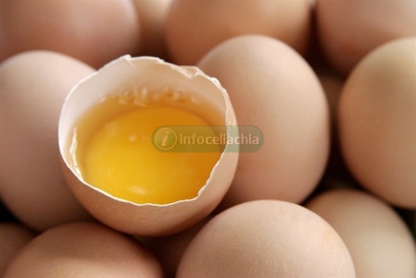 Nelle uova il segreto per combattere la celiachia