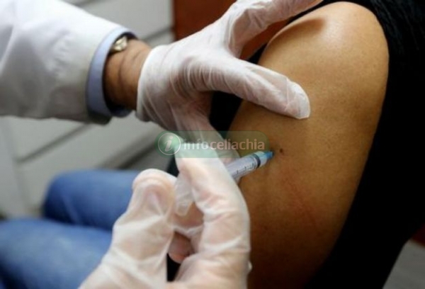 Vaccino anti celiachia, primi test promettenti
